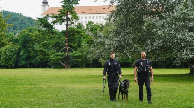 Na pořádek ve městě opět dohlížejí psovodi