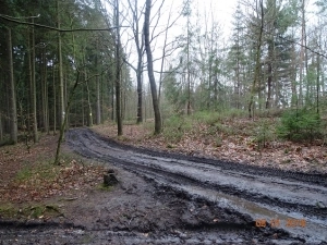 Rozježděné cesty na Kvádrberku se upraví