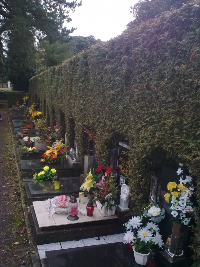 Zeravy poškozují hřbitov na Folknářích