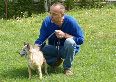 V Děčíně proběhne další vlna očkování psů a koček