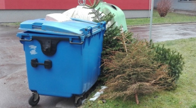 Vánoční stromky se budou svážet do konce února