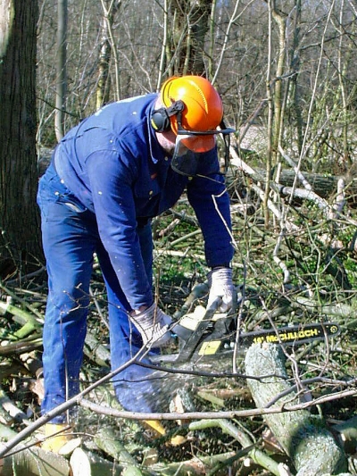 V lokalitě pod Albánskou ulicí bude probíhat těžba