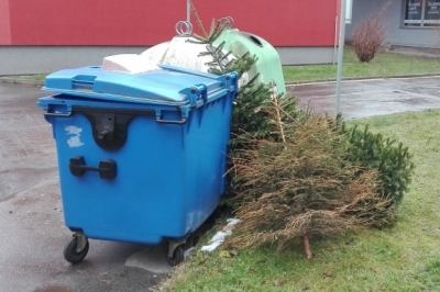 Svoz vánočních stromků probíhá až do konce února