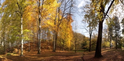 Těžba na Kvádrberku pomůže při obnově lesa