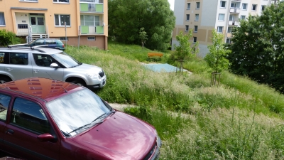 Město udělilo pokutu za špatné sekání trávy